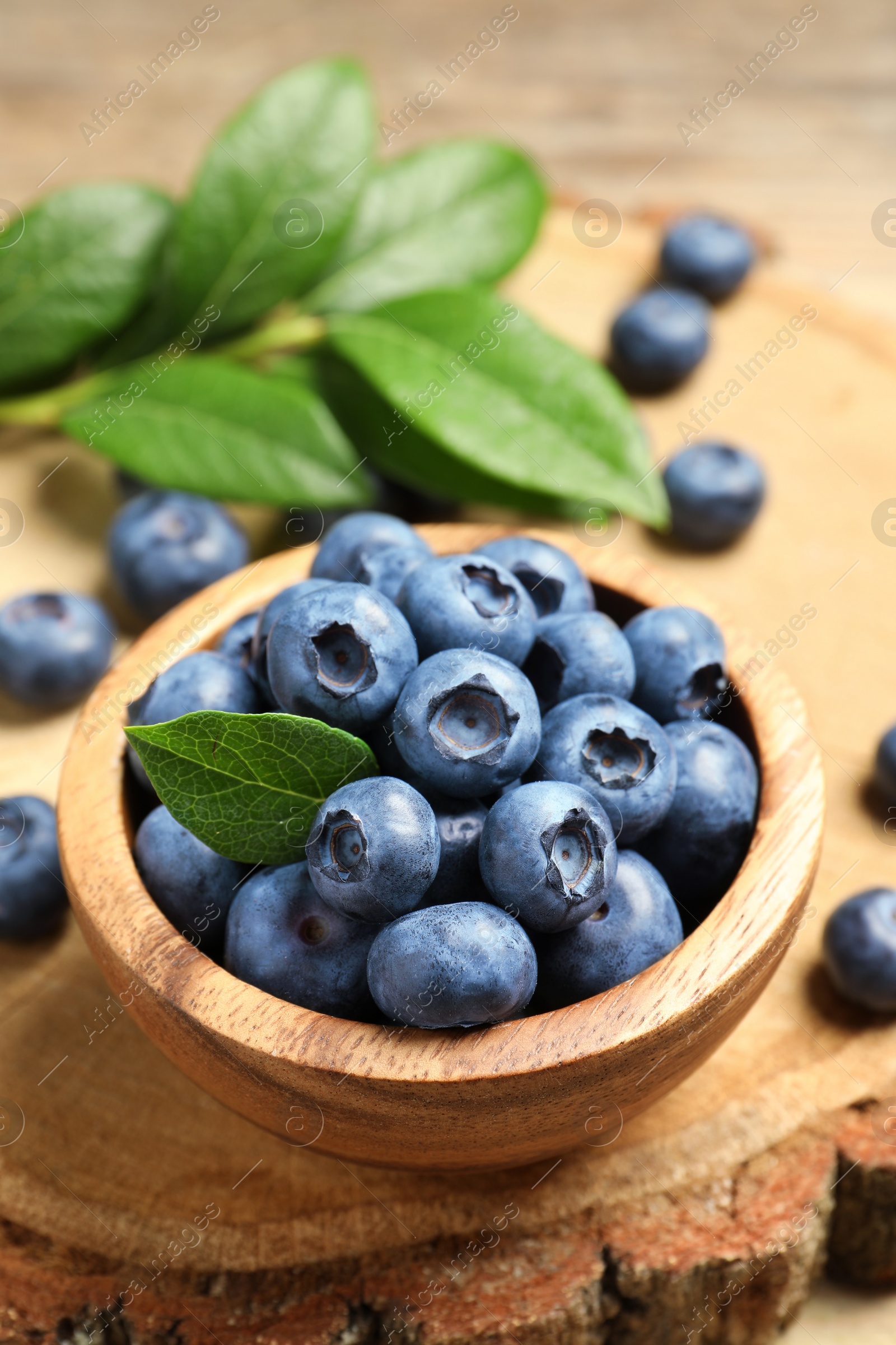 Photo of Bowl of fresh tasty blueberries on table, closeup. Space for text