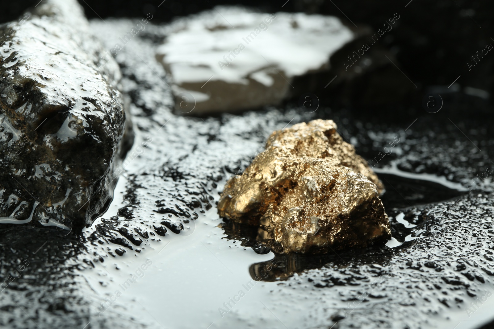Photo of Shiny gold nugget on wet stones. Space for text