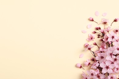 Photo of Blossoming spring tree branch as border on beige background, flat lay. Space for text