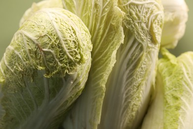 Many fresh ripe Chinese cabbages, closeup view