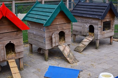 Photo of Small wooden hutches for rabbits on farm