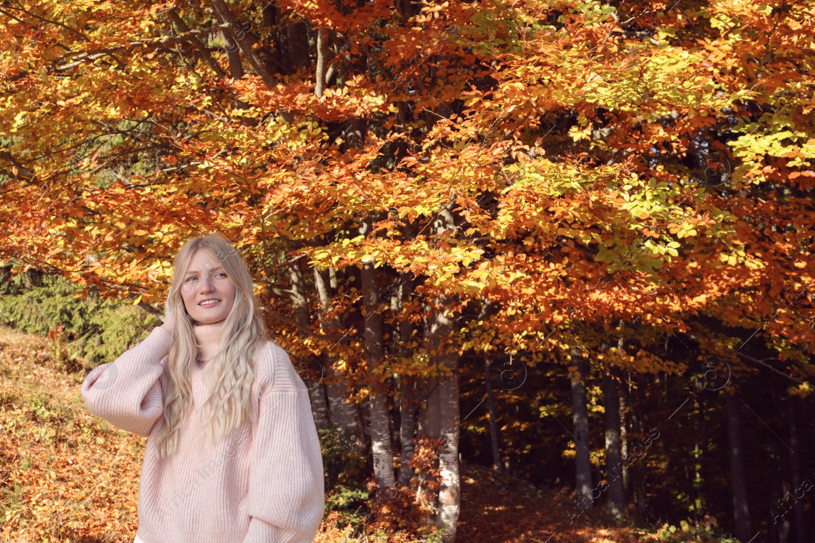 Photo of Portrait of beautiful young woman near forest in autumn. Space for text