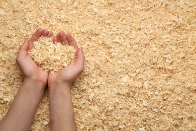 Woman holding dry natural sawdust, top view