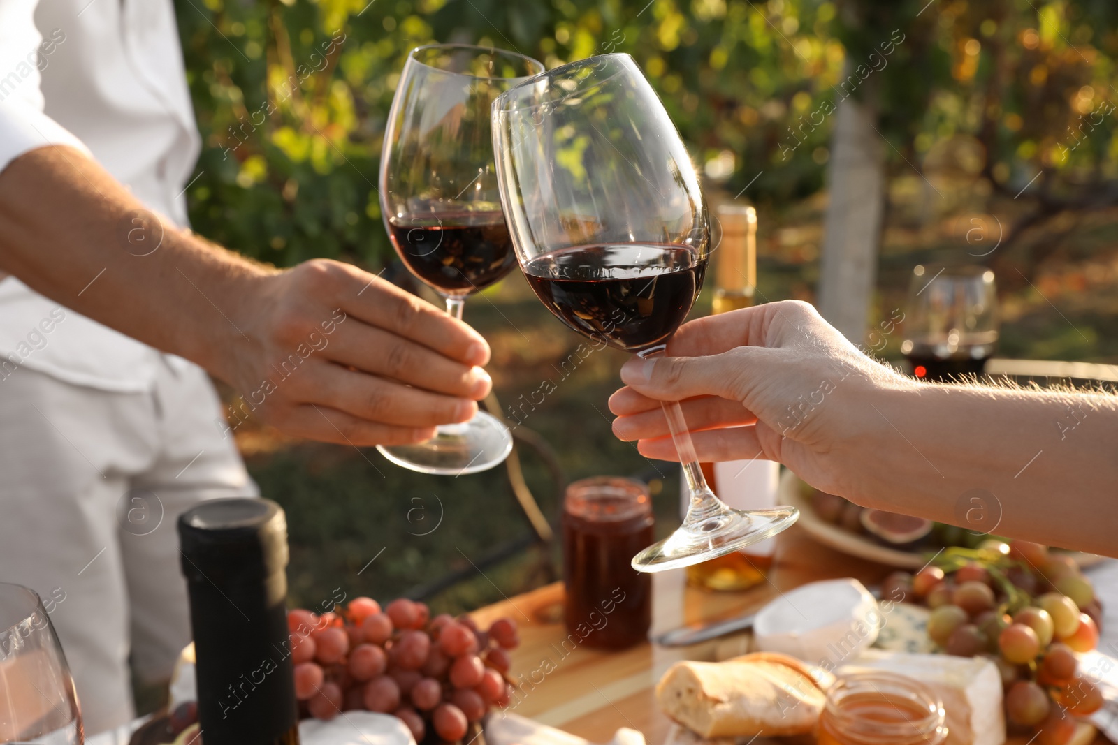 Photo of Couple with glasses of wine in vineyard on sunny day, closeup