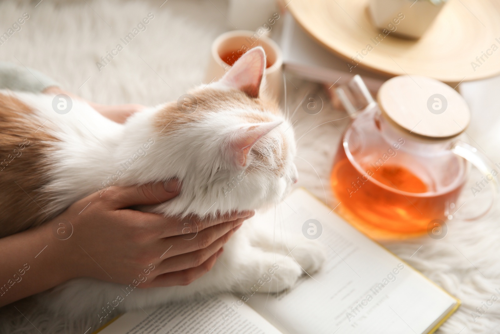 Photo of Woman with cute fluffy cat, tea and book on faux fur, closeup