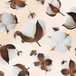 Image of Beautiful cotton flowers falling on beige background