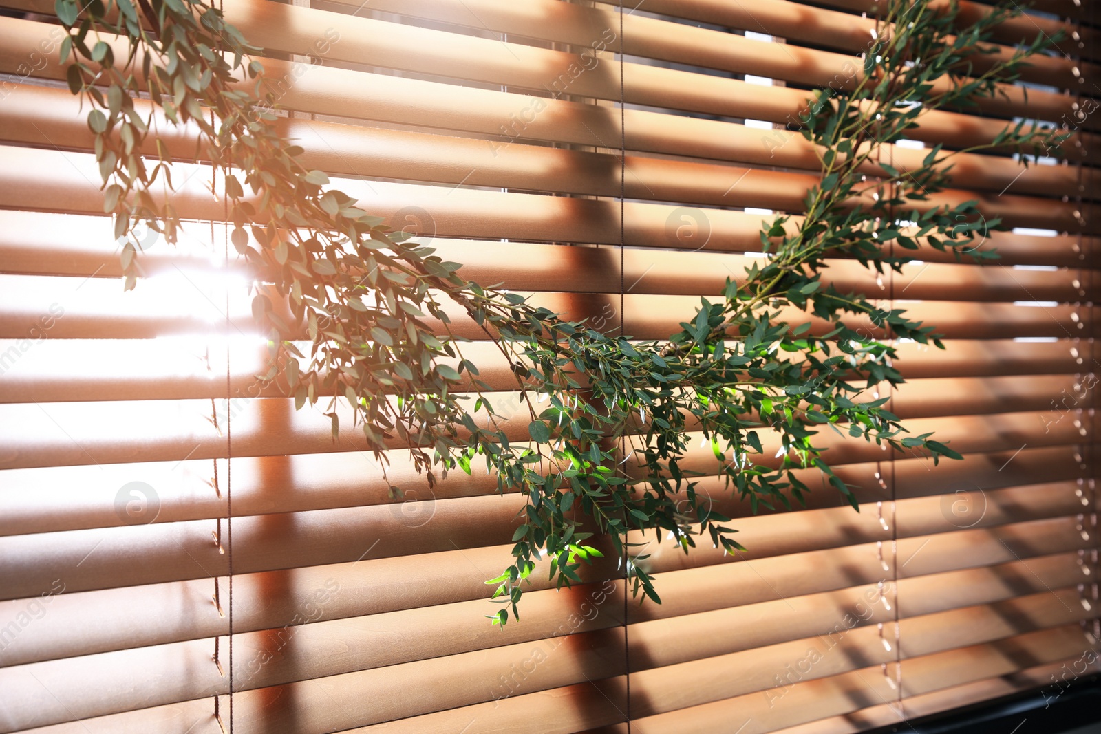 Photo of Beautiful garland made of eucalyptus branches hanging on window blinds indoors