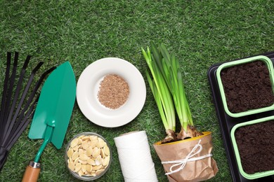 Photo of Flat lay composition with vegetable seeds and gardening tools on green grass