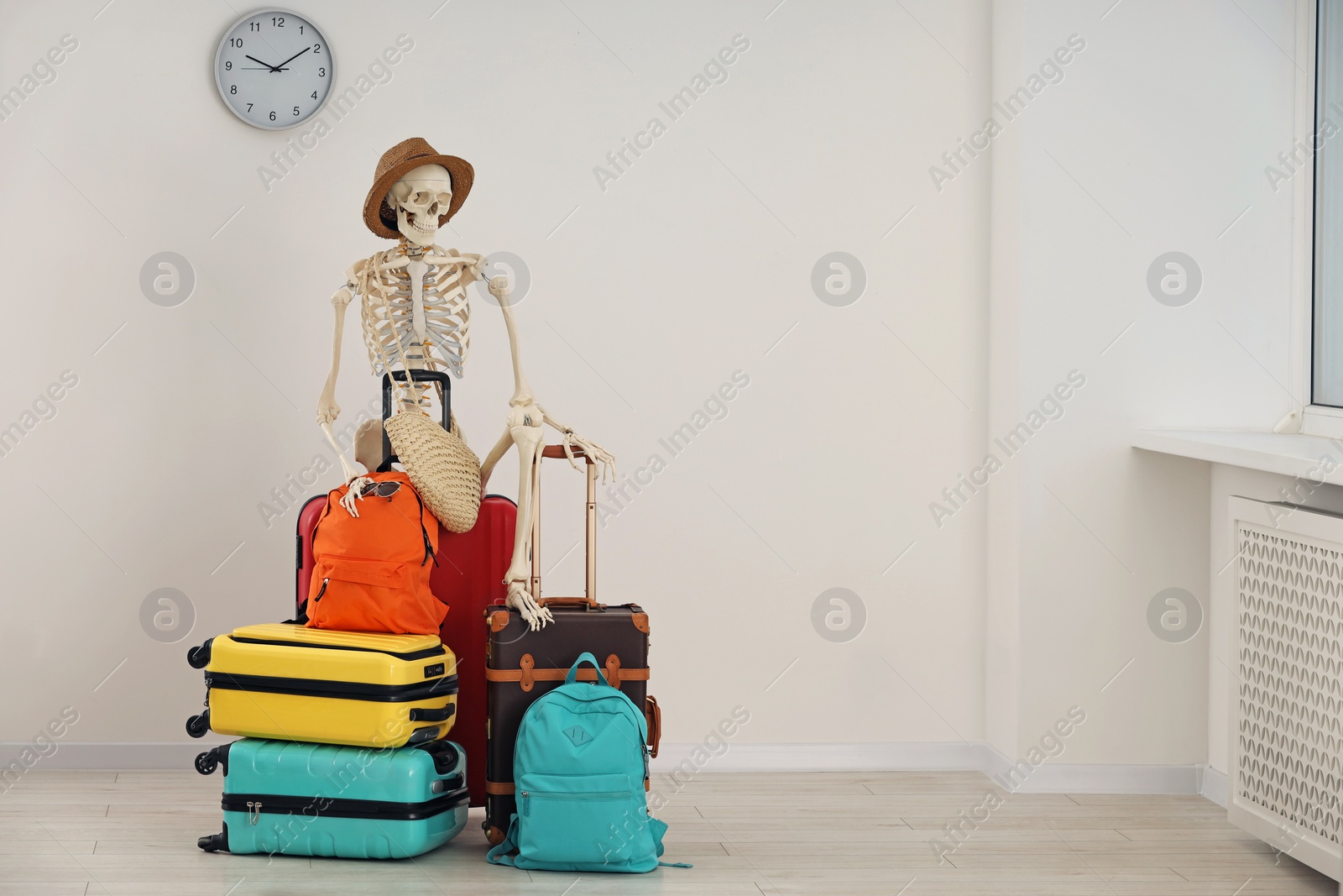 Photo of Waiting concept. Human skeleton in hat with suitcases indoors, space for text