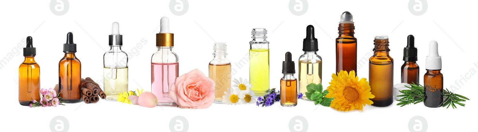 Image of Set of different essential oils used in aromatherapy on white background, banner design