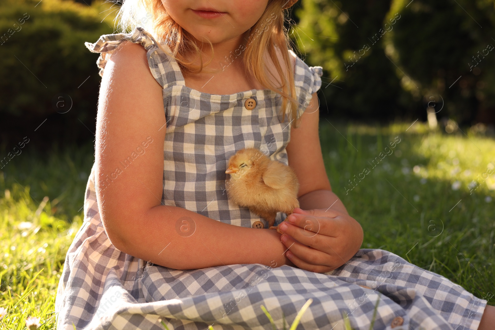Photo of Little girl with cute chick on green grass outdoors, closeup. Baby animal