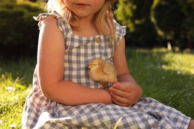 Photo of Little girl with cute chick on green grass outdoors, closeup. Baby animal