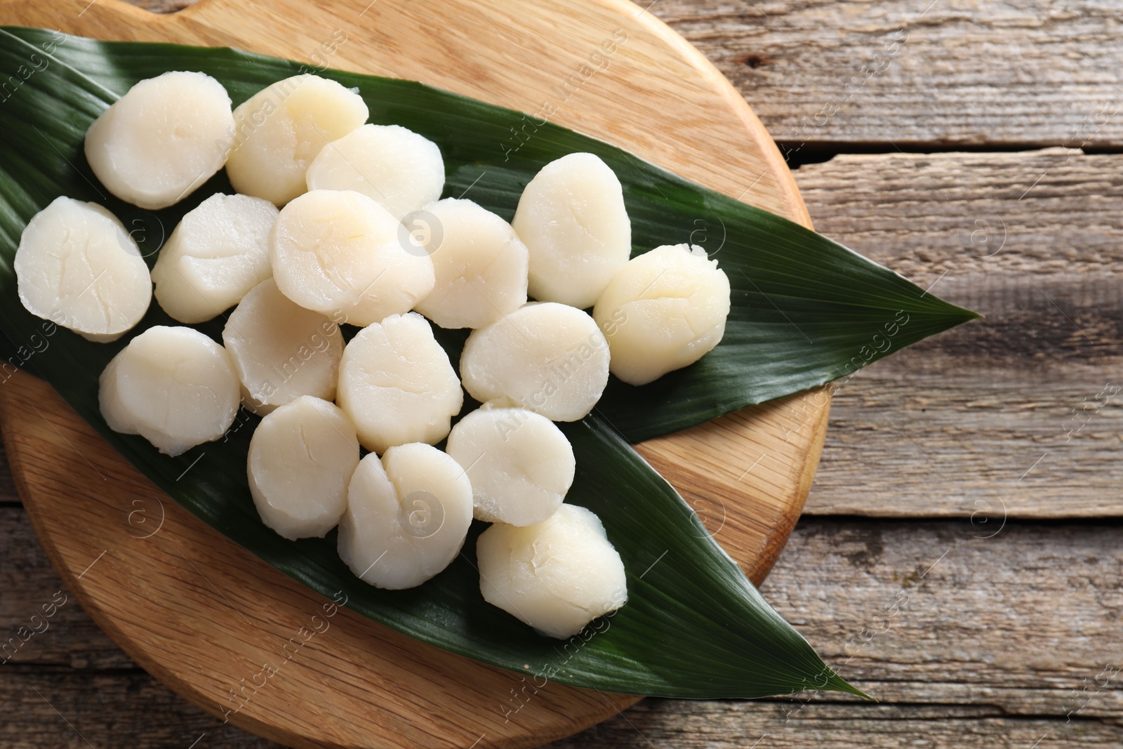 Photo of Fresh raw scallops on wooden table, top view. Space for text