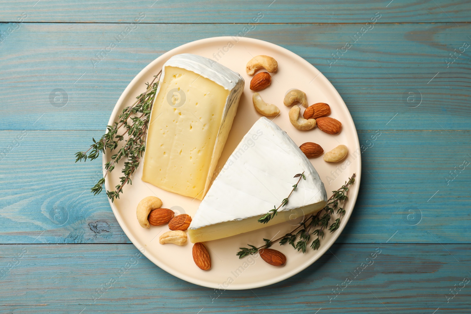 Photo of Tasty Camembert cheese with thyme and nuts on light blue wooden table, top view