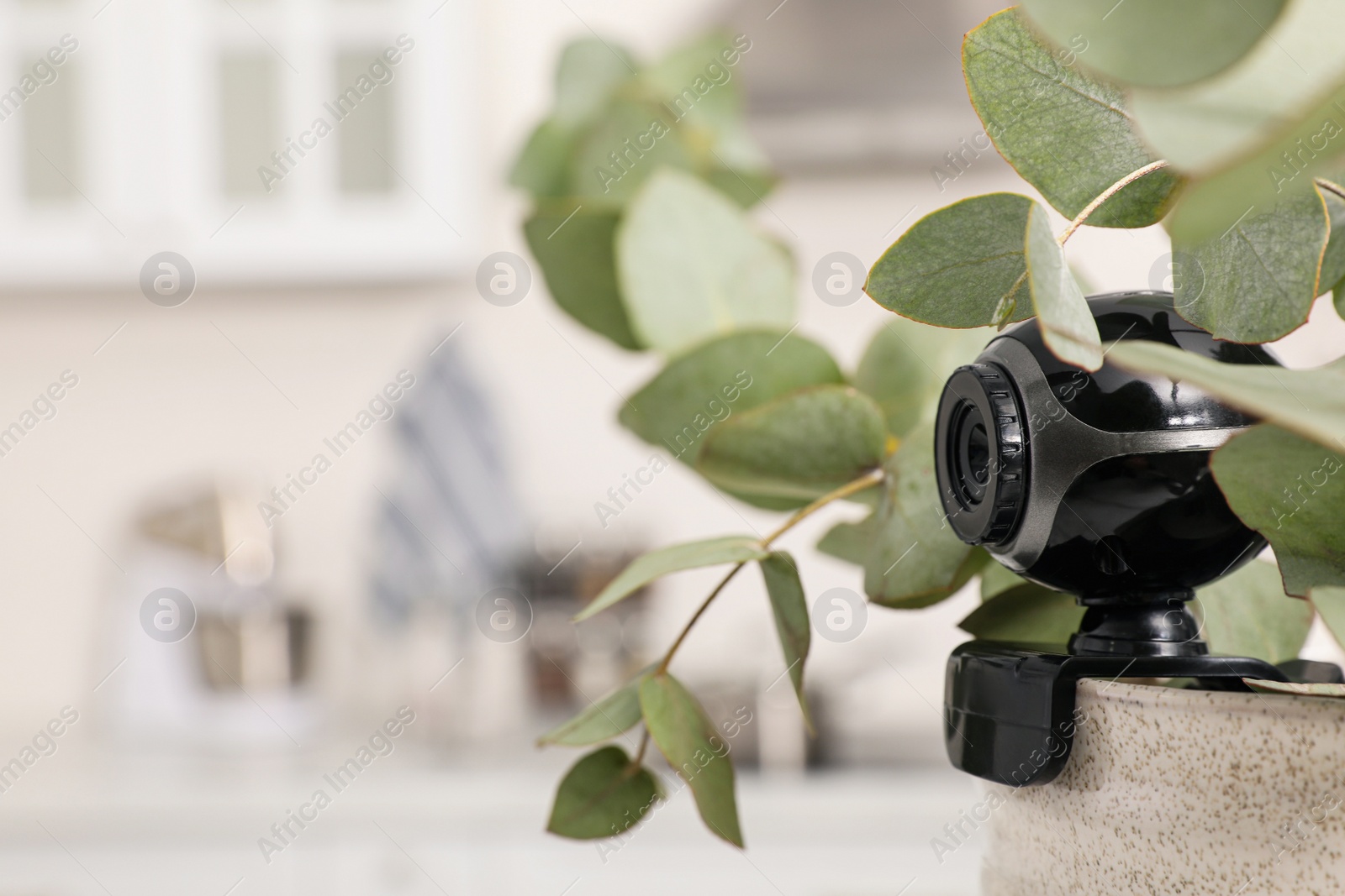 Photo of Spy camera hidden in flower pot indoors, closeup. Space for text