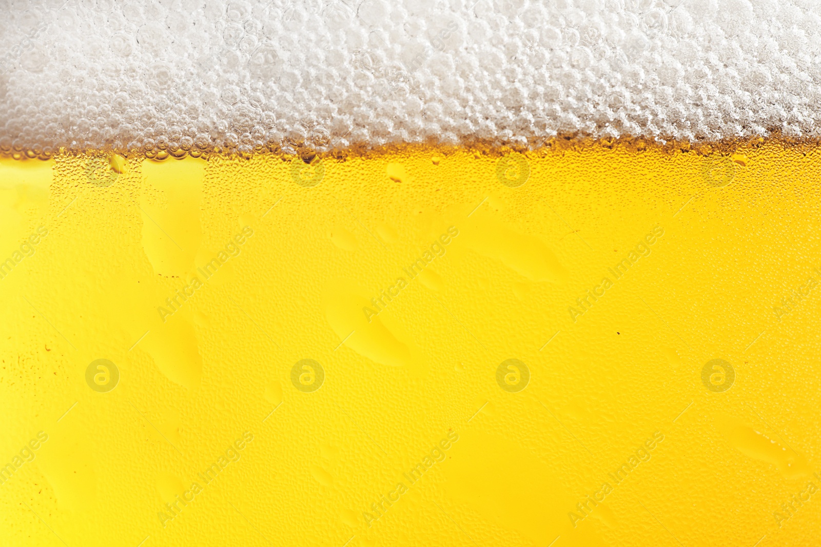 Photo of Glass of tasty beer with foam, closeup