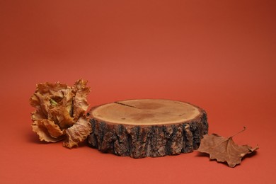 Autumn presentation for product. Wooden stump and dry leaves on terracotta background