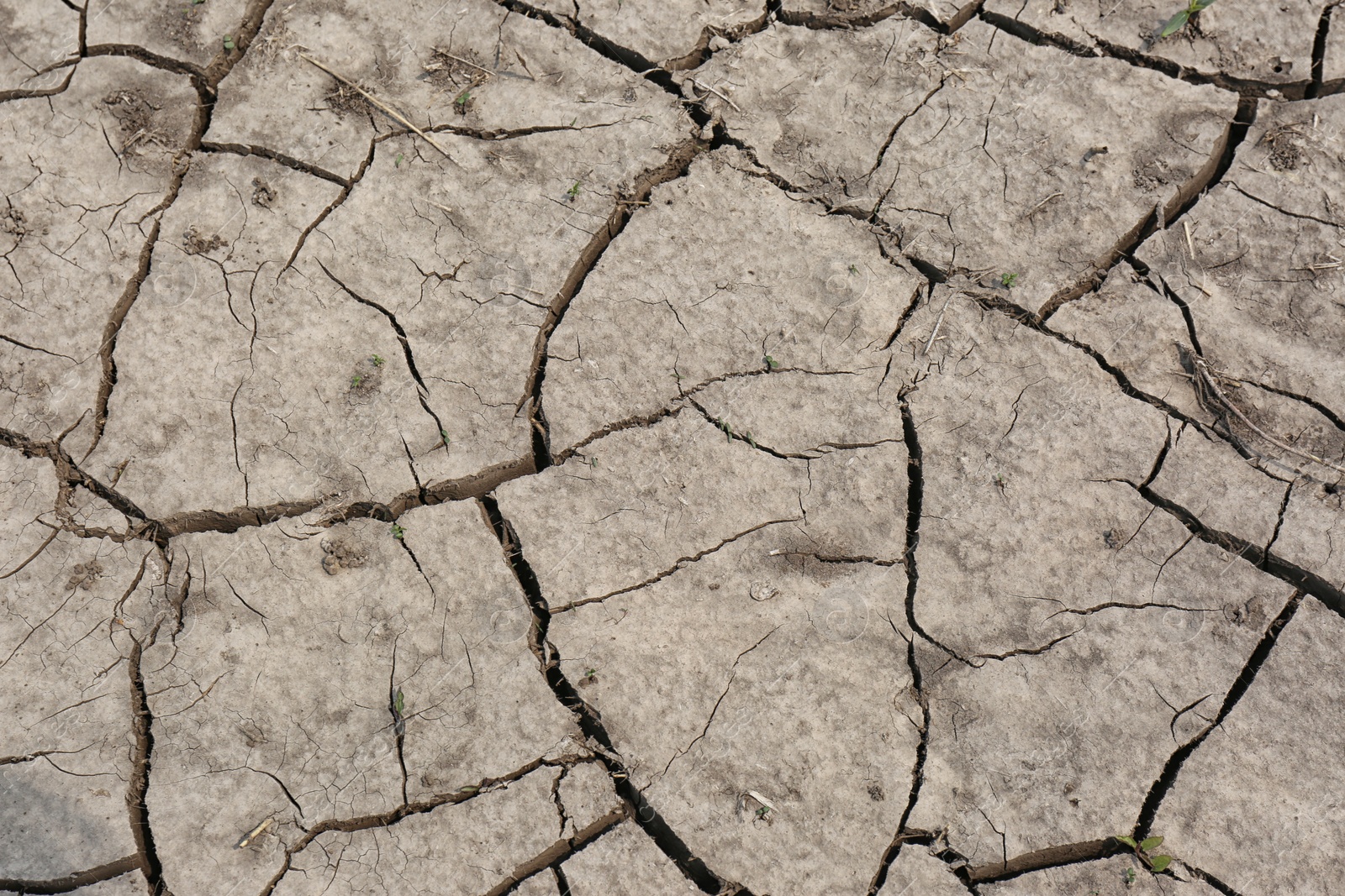 Photo of Cracked ground surface as background, top view