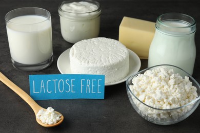 Photo of Card with phrase Lactose free and different fresh products on grey table