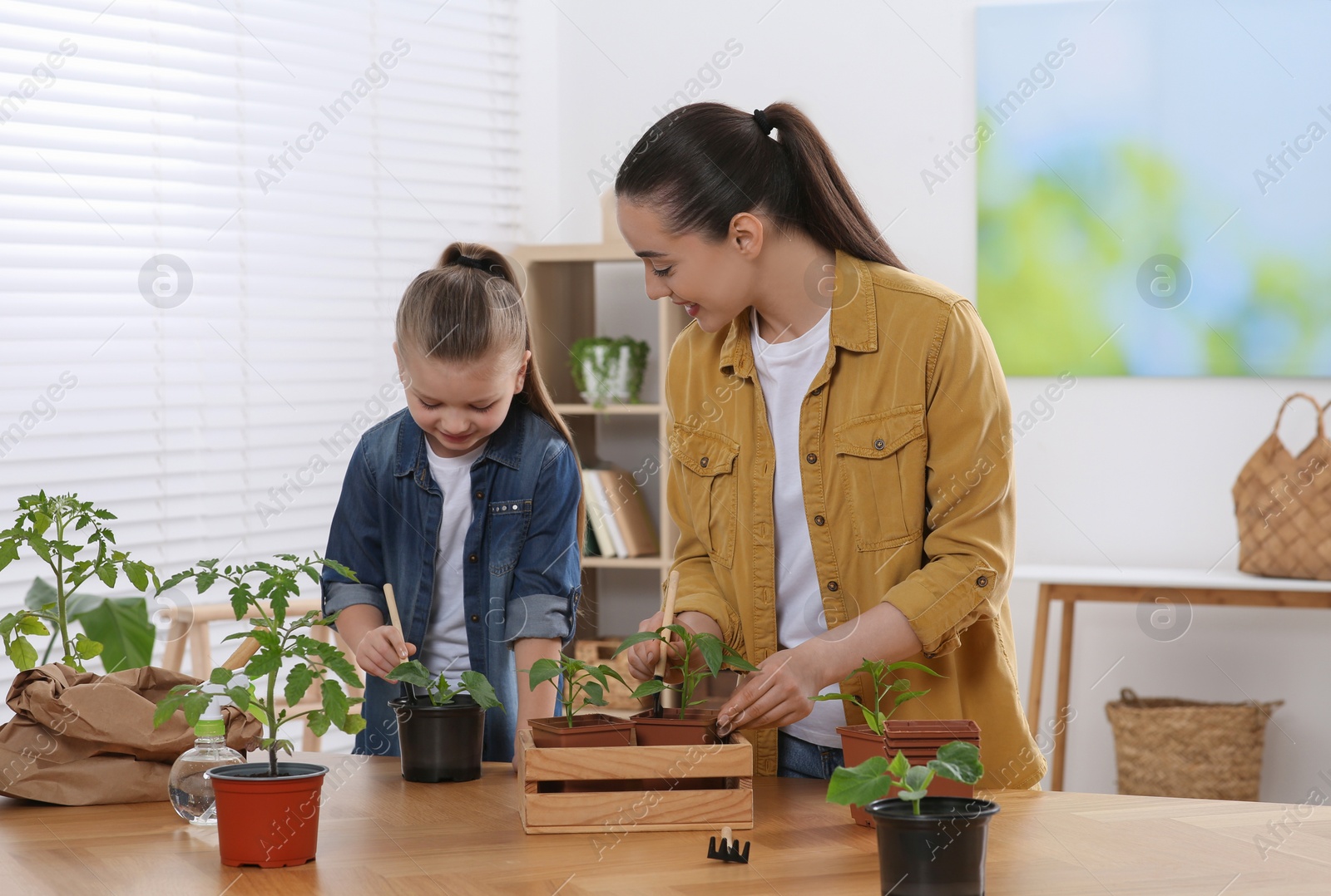 Photo of Mother and daughter planting seedlings into pots together at wooden table in room