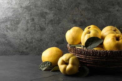 Photo of Fresh ripe organic quinces with leaves in wicker basket on black table. Space for text