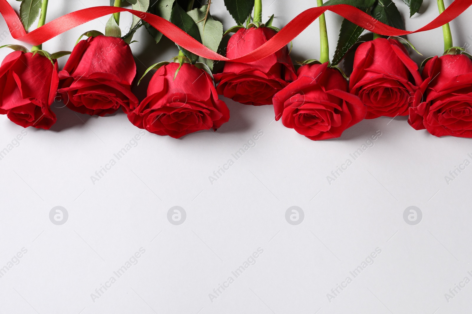 Photo of Beautiful red roses and ribbon on white background, above view. Space for text