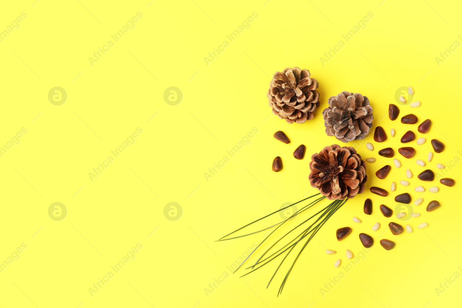 Photo of Flat lay composition with pine nuts and space for text on color background