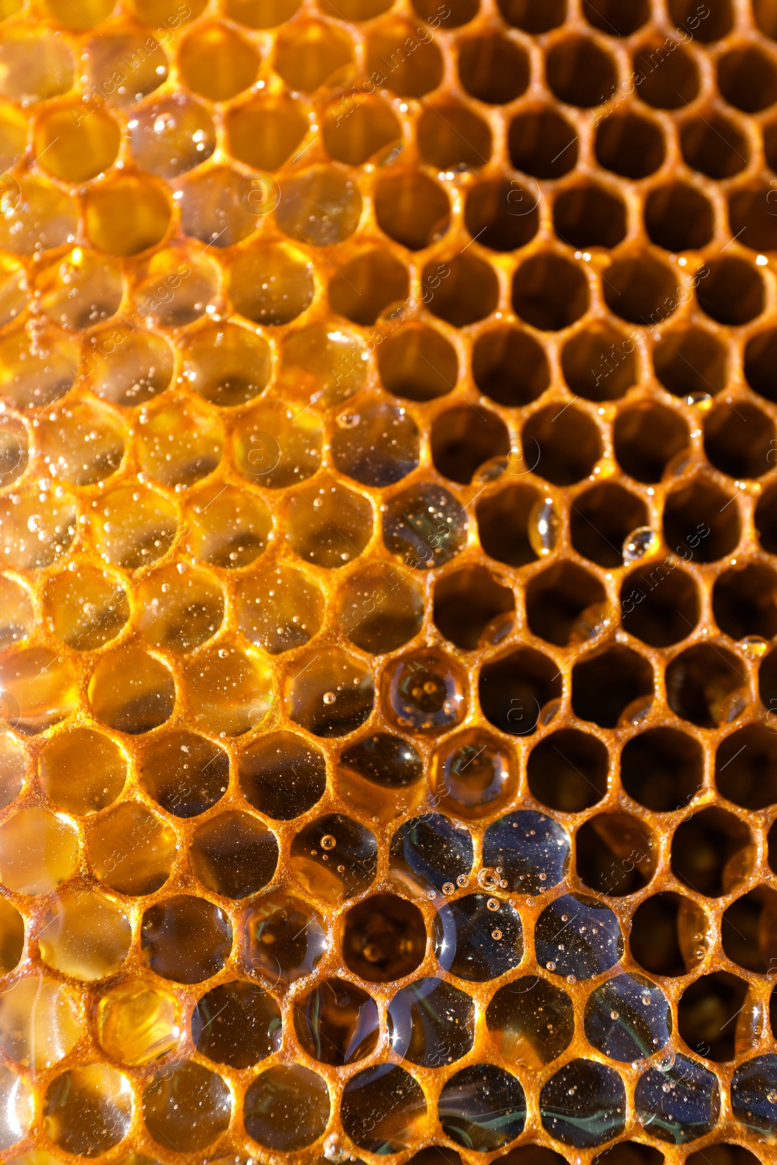 Photo of Uncapped filled honeycomb as background, closeup view