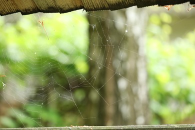 Old dusty cobweb on blurred background, closeup