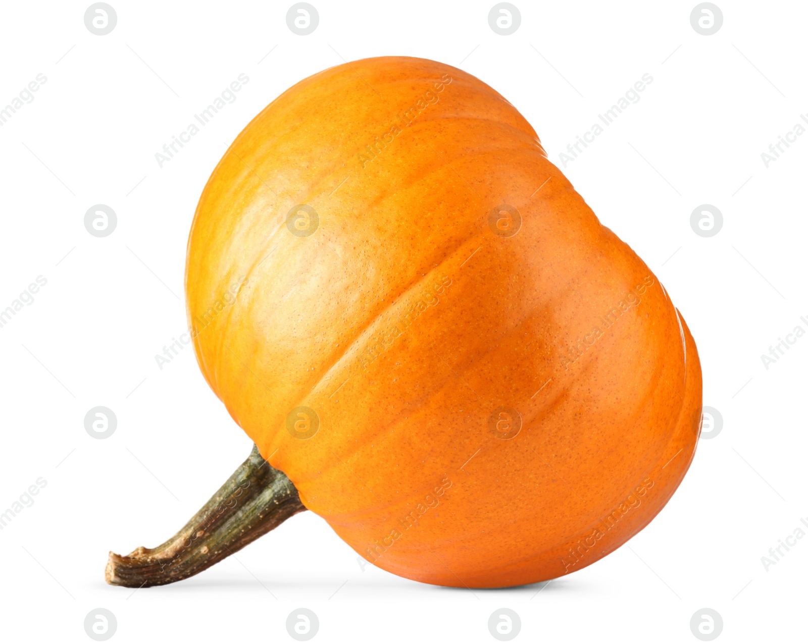 Photo of One fresh orange pumpkin isolated on white