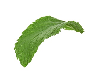 Photo of Fresh green mint leaf on white background