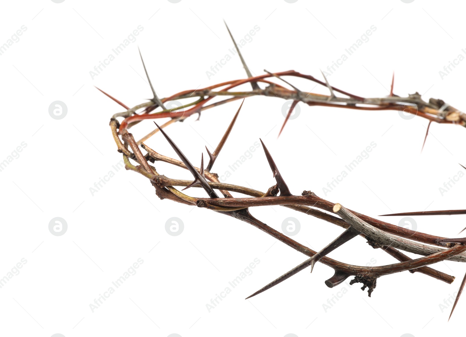 Photo of Crown of thorns isolated on white, closeup. Easter attribute