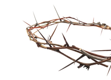 Photo of Crown of thorns isolated on white, closeup. Easter attribute