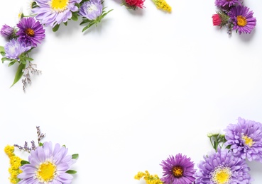 Composition with beautiful aster flowers on white background, top view. Space for text