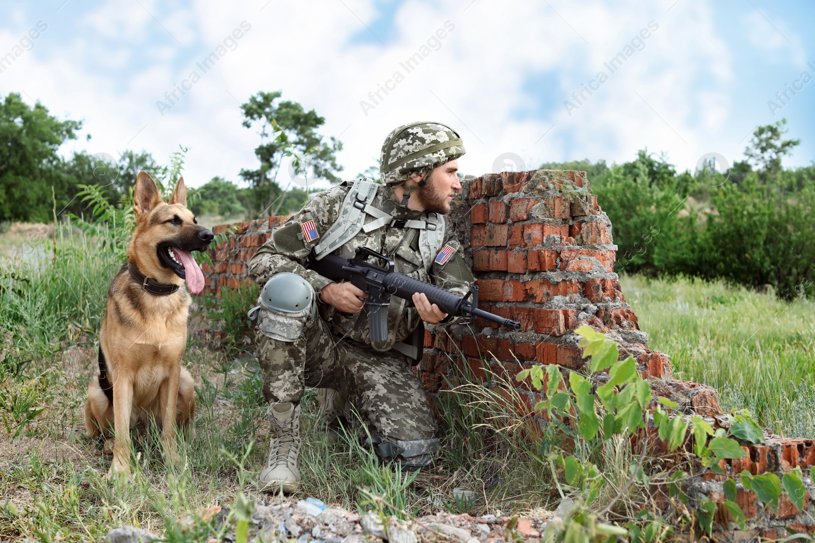 Photo of Man in military uniform with German shepherd dog at firing range