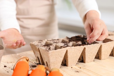 Little girl planting vegetable seeds into peat pots with soil at wooden table, closeup