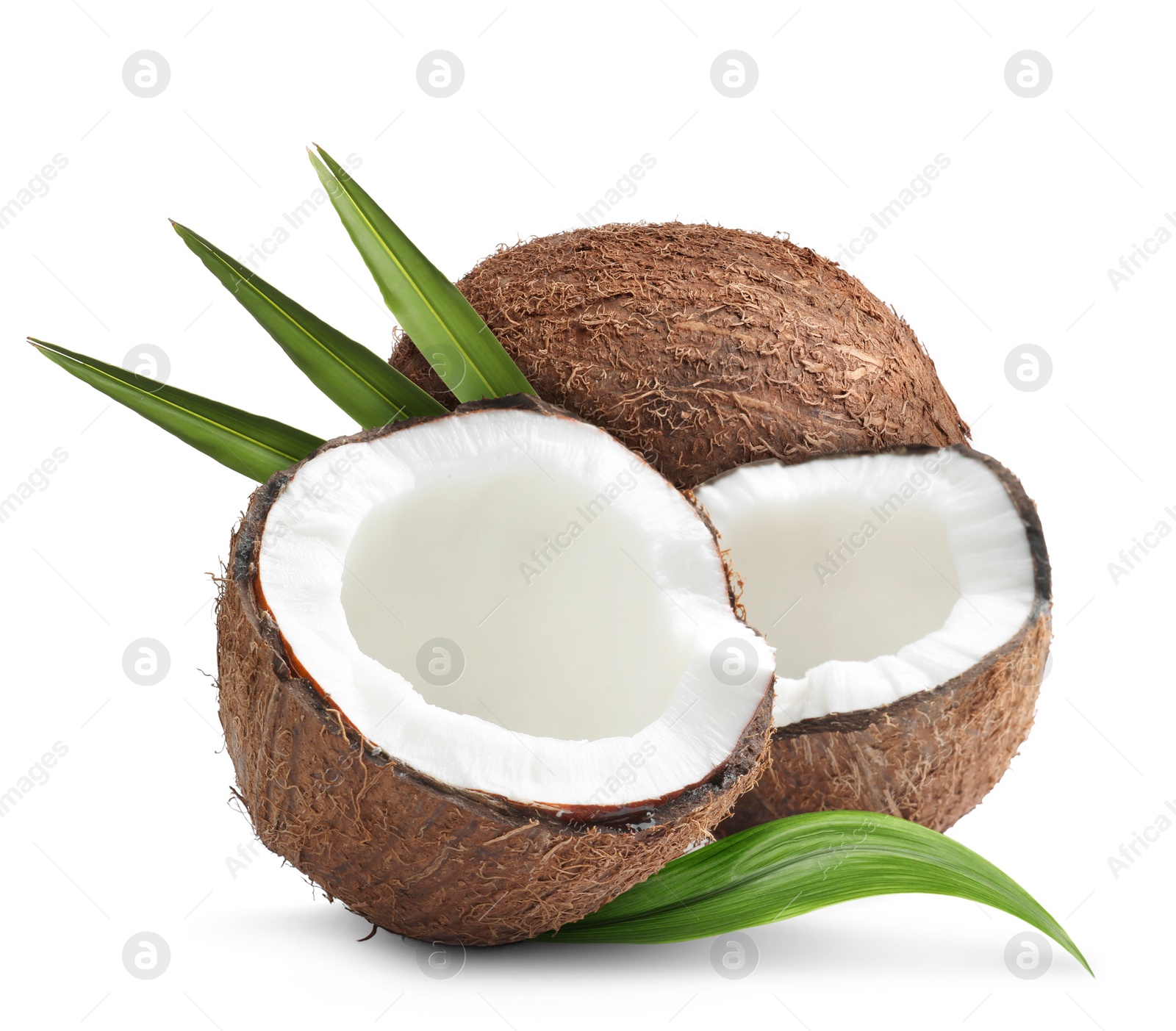 Tasty ripe coconuts and green leaves on white background Image of Tasty ripe coconuts and green leaves on white background
