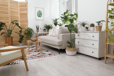 Photo of Stylish room with comfortable sofa, coffee table, chest of drawers and beautiful houseplants. Interior design