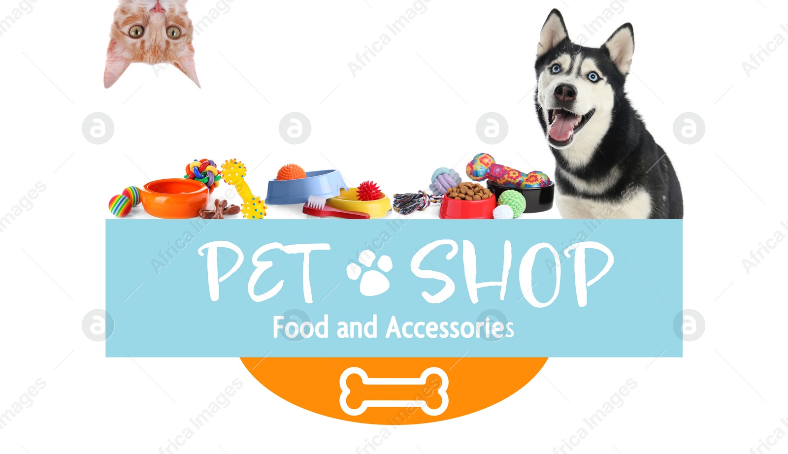 Image of Advertising poster design for pet shop. Cute dog, cat and different accessories on white background