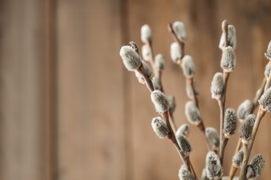 Photo of Beautiful bouquet of pussy willow branches on wooden background, closeup. Space for text
