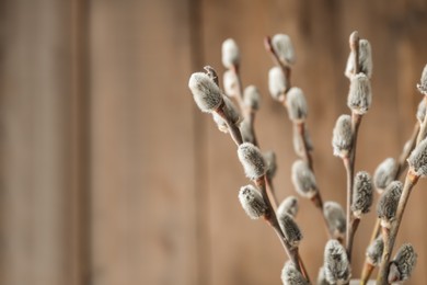 Beautiful bouquet of pussy willow branches on wooden background, closeup. Space for text