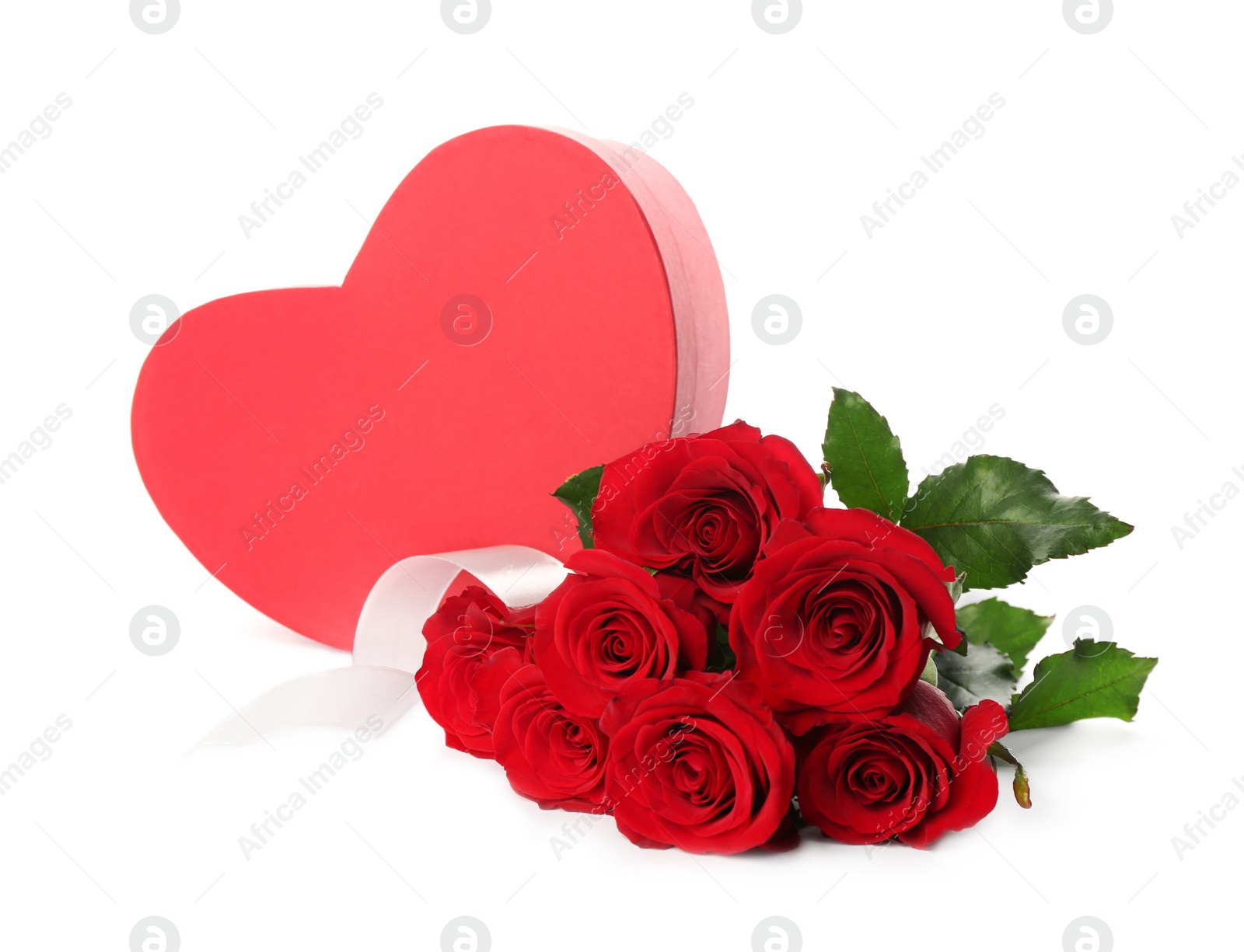 Photo of Beautiful red roses and gift box on white background. St. Valentine's day celebration