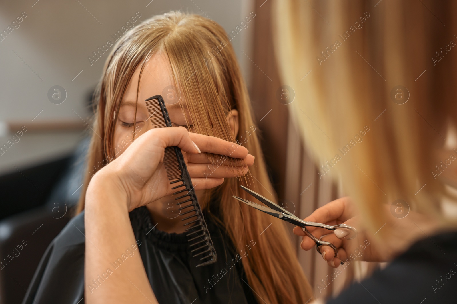 Photo of Professional hairdresser cutting girl's hair in beauty salon, closeup