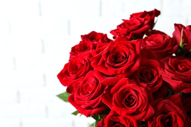 Photo of Beautiful red rose flowers on light background