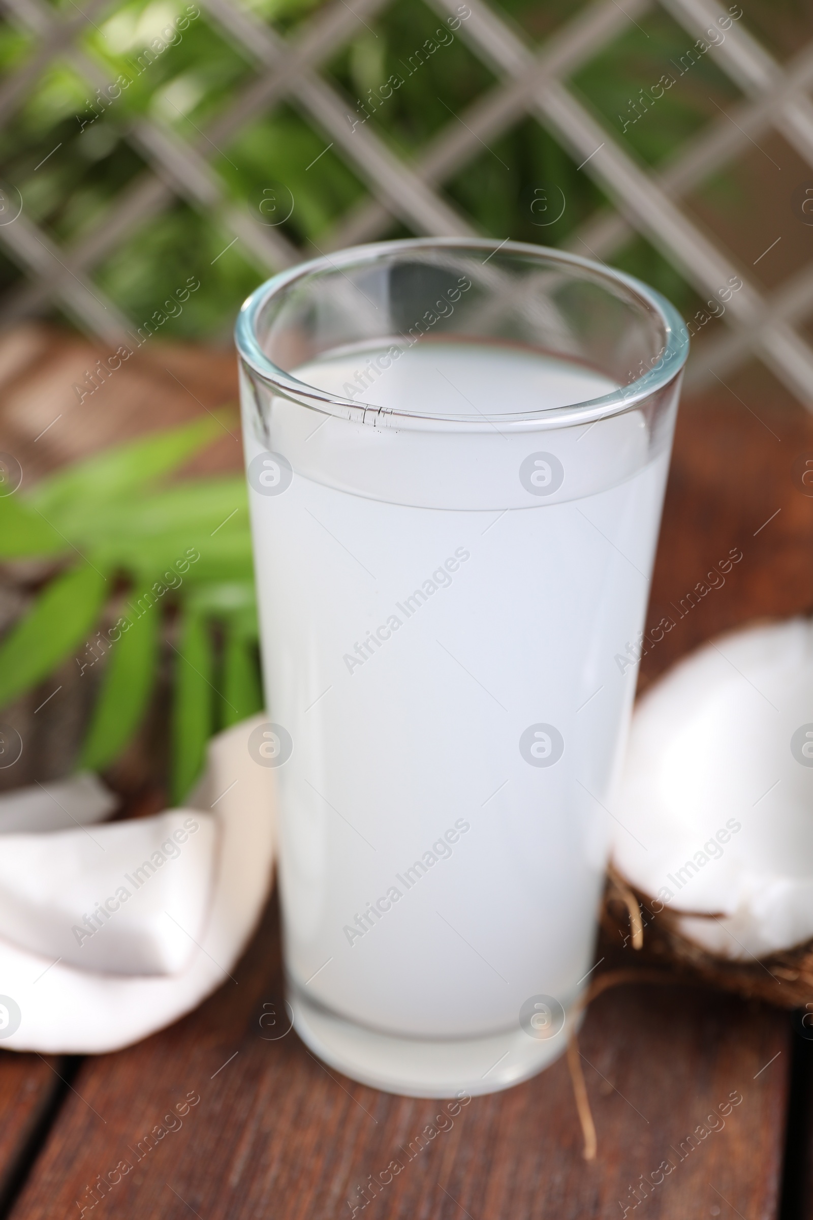 Photo of Glass of coconut water, leaf and nuts on wooden table