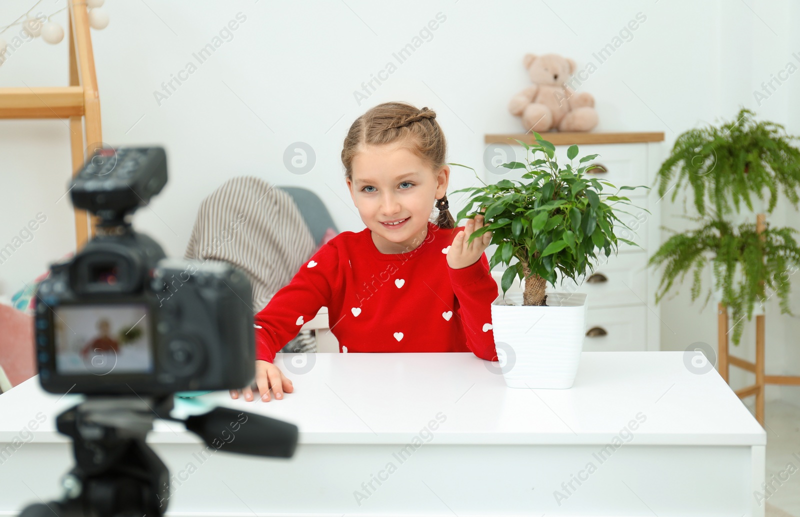 Photo of Cute little blogger with plant recording video at home