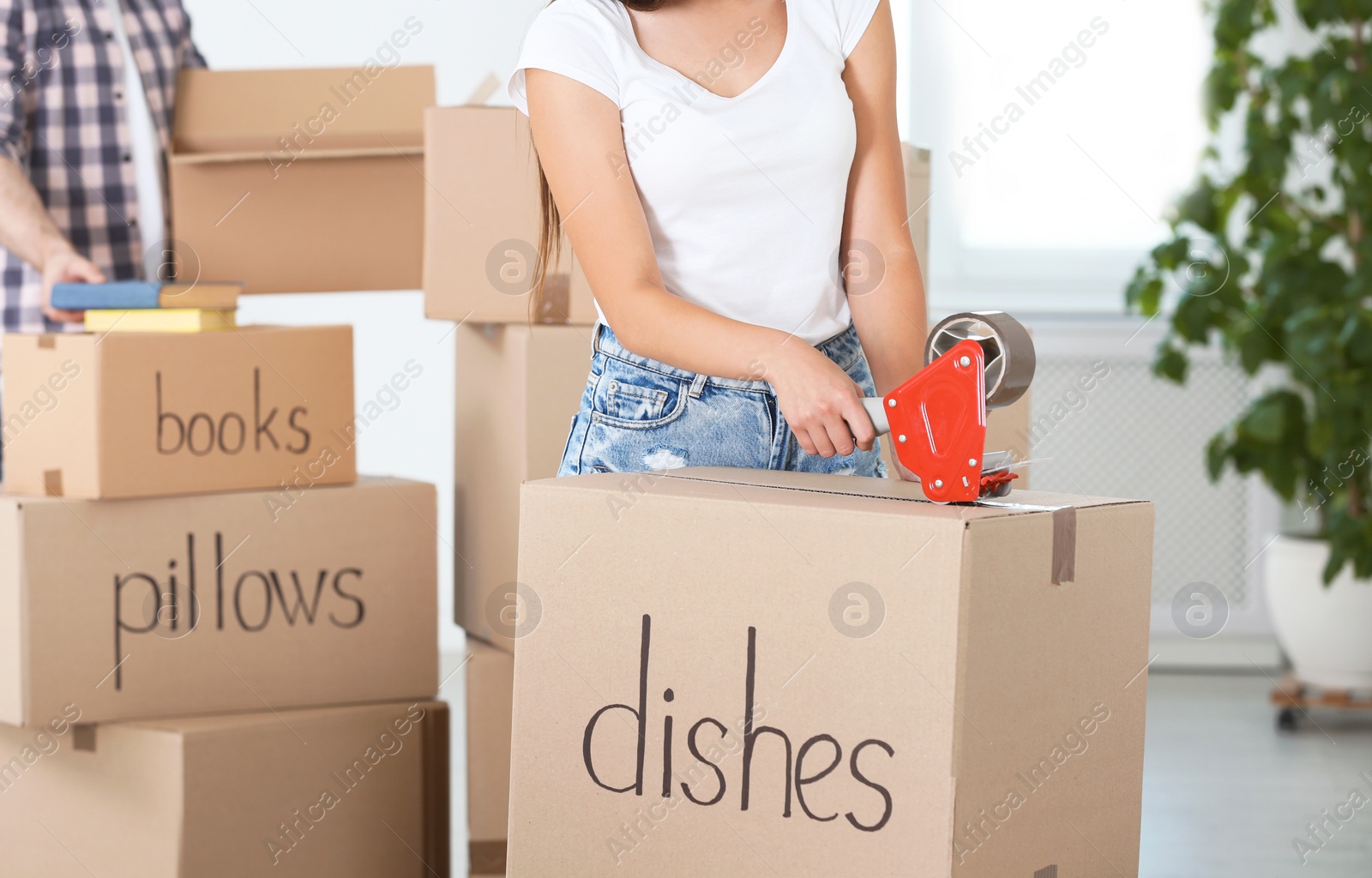 Photo of Woman packing box indoors, closeup. Moving day