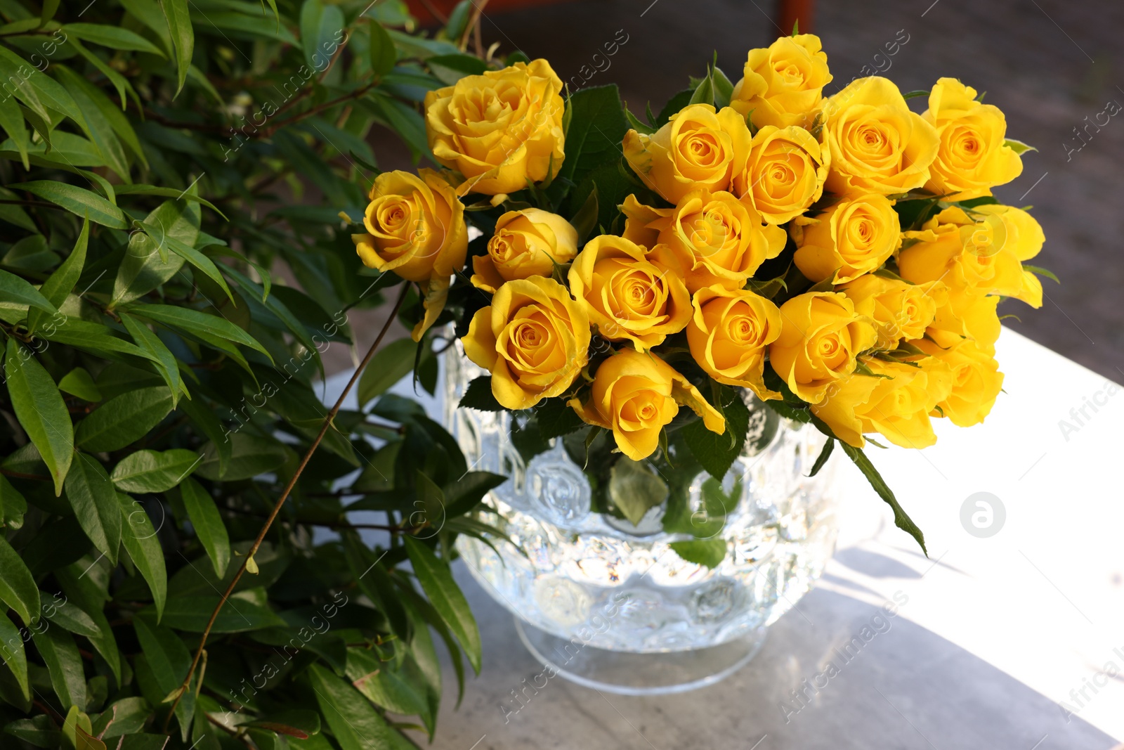 Photo of Beautiful bouquet of yellow roses in glass vase on white table outdoors