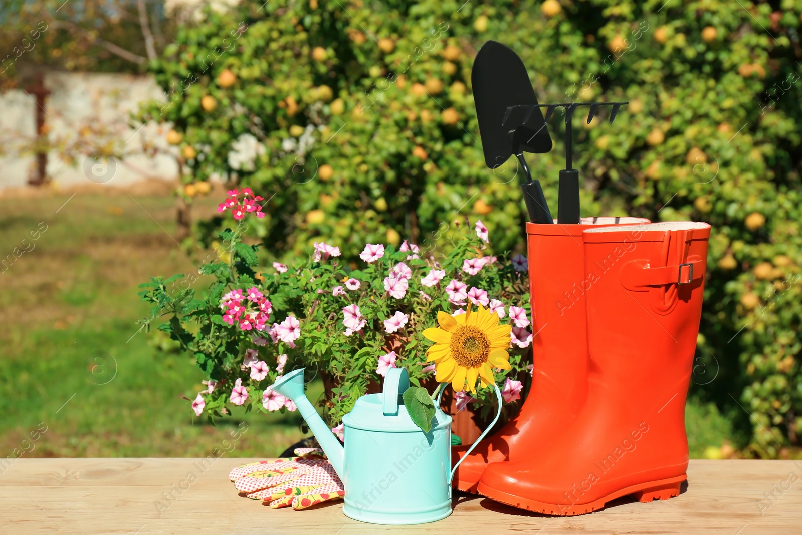 Photo of Set of gardening tools on wooden table outdoors