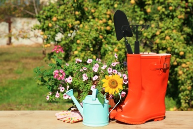 Photo of Set of gardening tools on wooden table outdoors